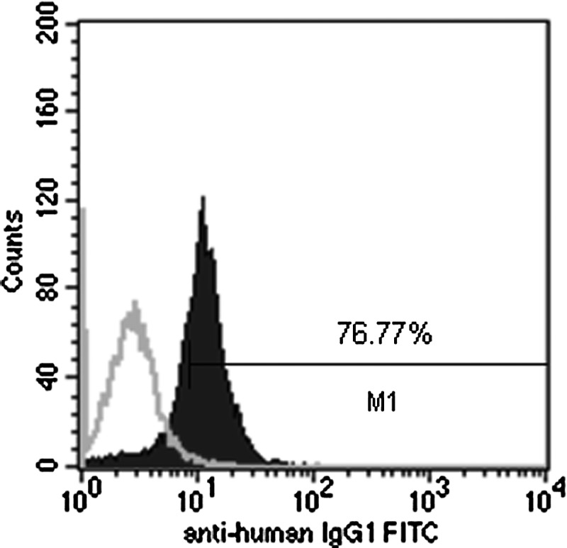 FIG. 5.