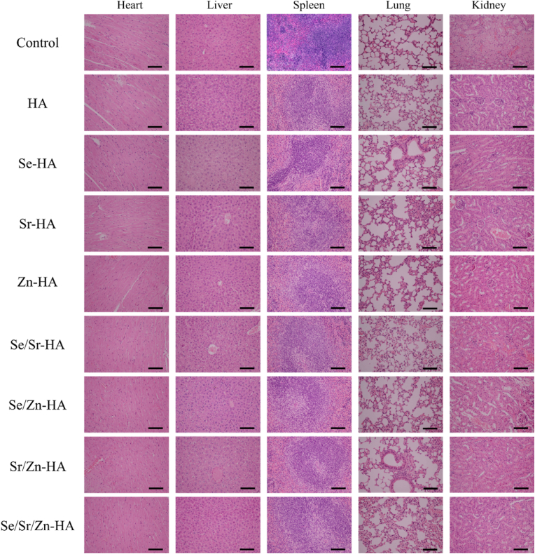 Fig. 10
