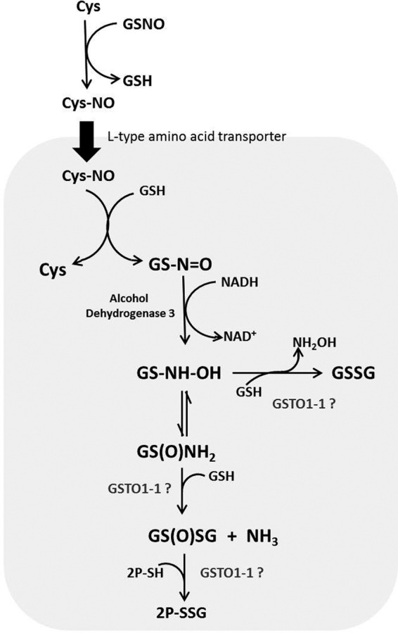 FIGURE 7.