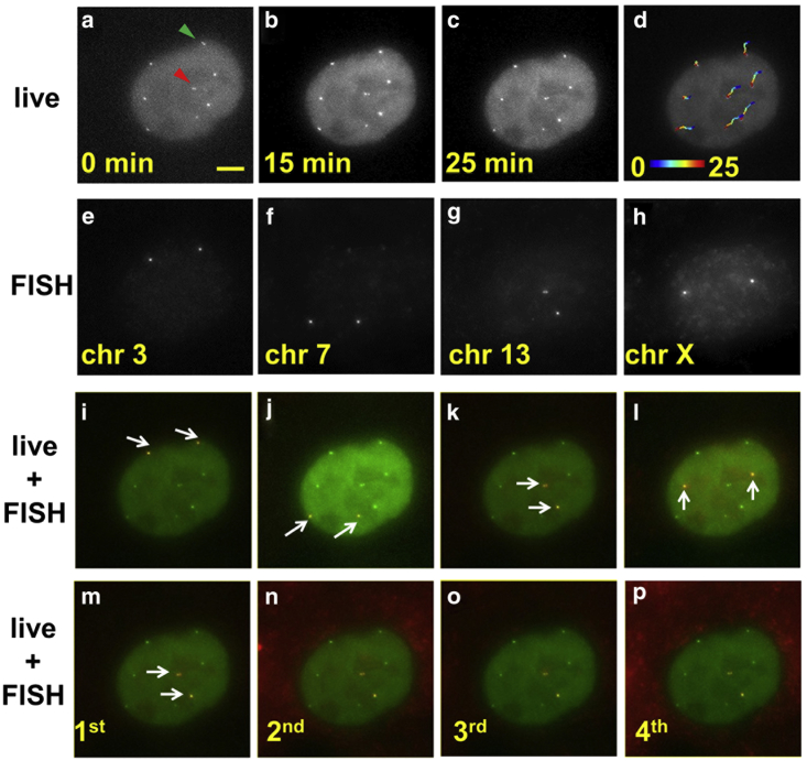 Figure 4