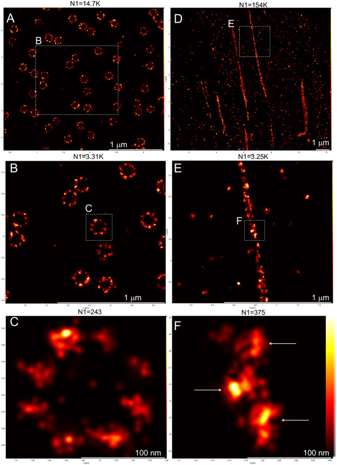 Fig. 3.