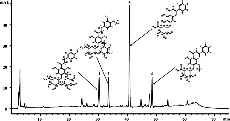 Fig. 1