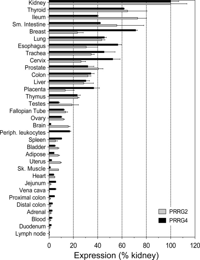 FIGURE 4.