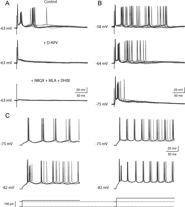 Figure 6.