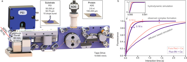 Fig. 1