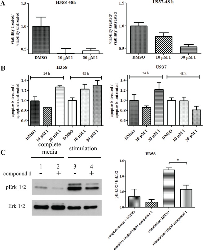 Fig 10