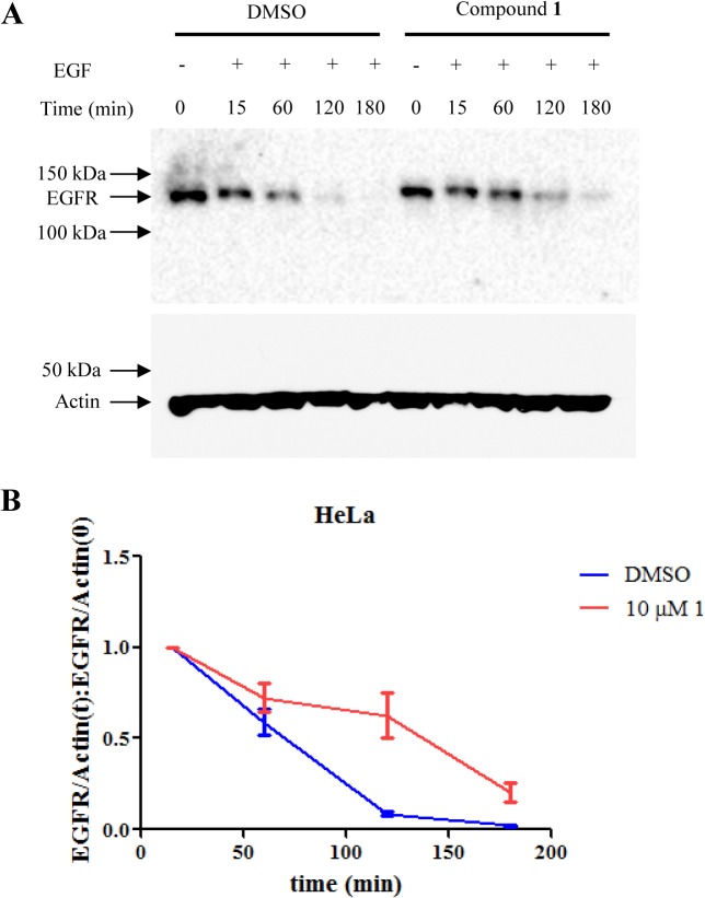 Fig 8