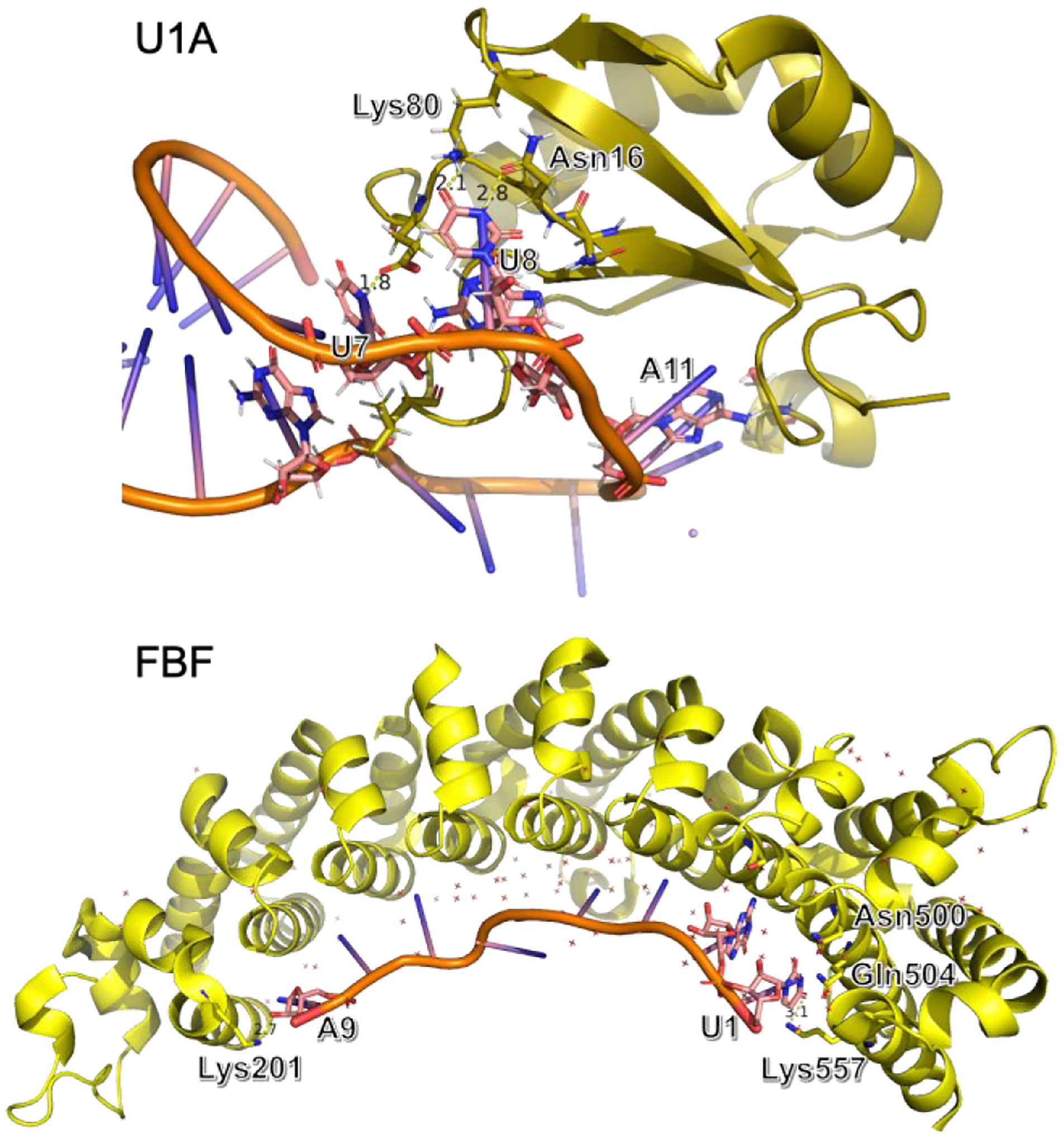 Figure 6.