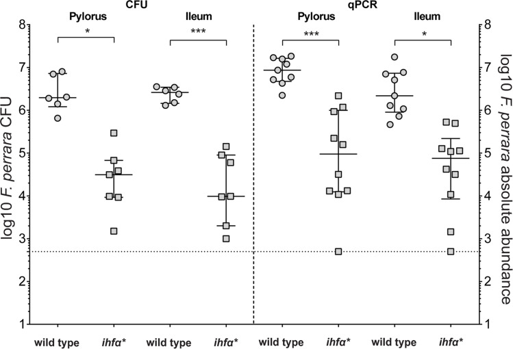 Figure 3—figure supplement 1.