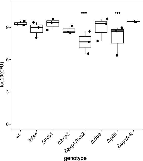 Figure 6—figure supplement 4.