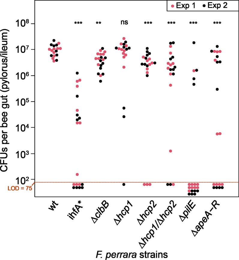 Figure 6—figure supplement 5.