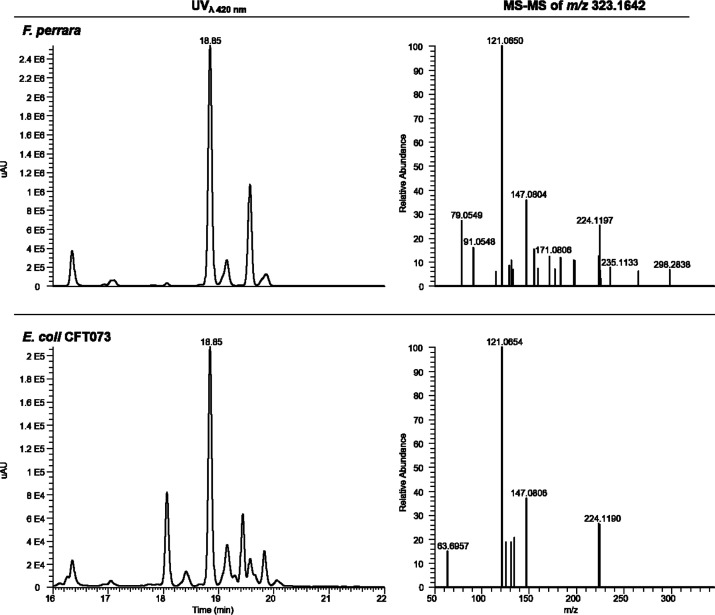 Figure 2—figure supplement 11.