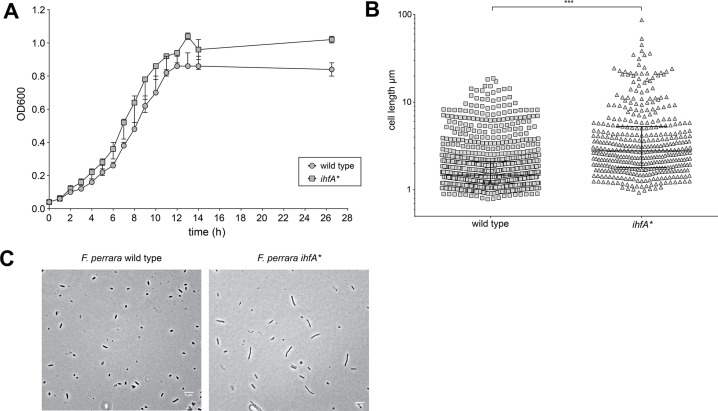 Figure 1—figure supplement 2.