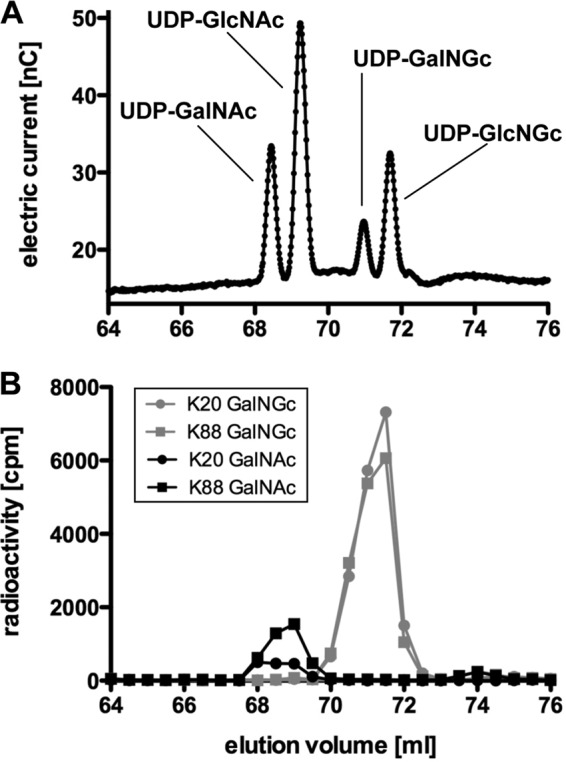 FIGURE 4.