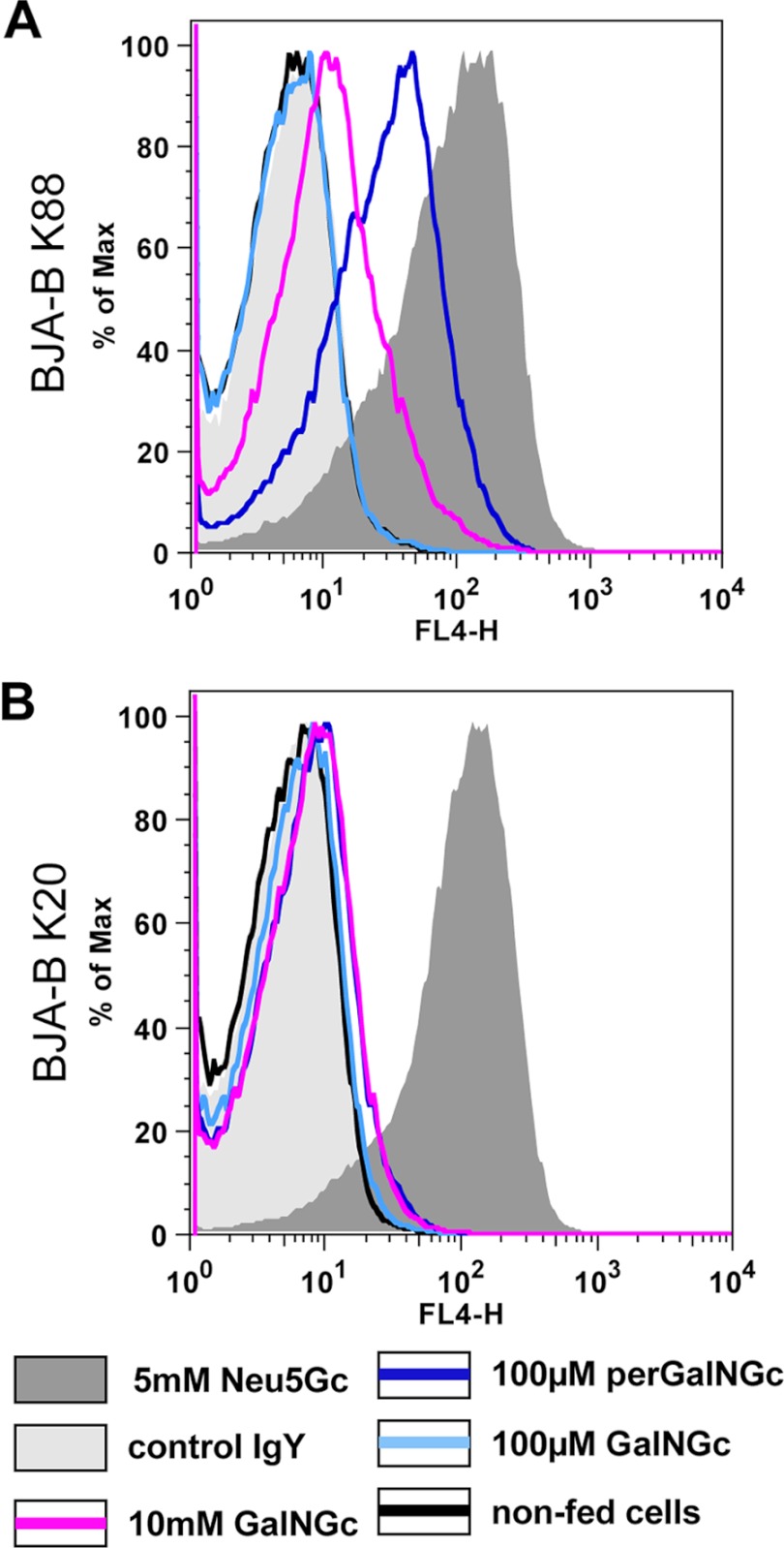 FIGURE 3.