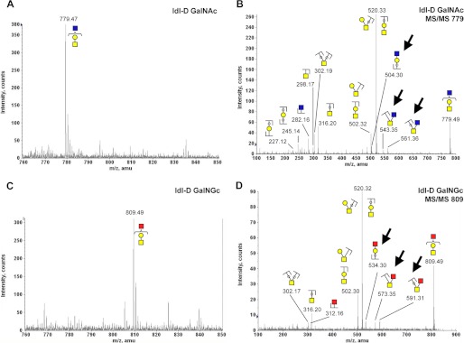 FIGURE 11.