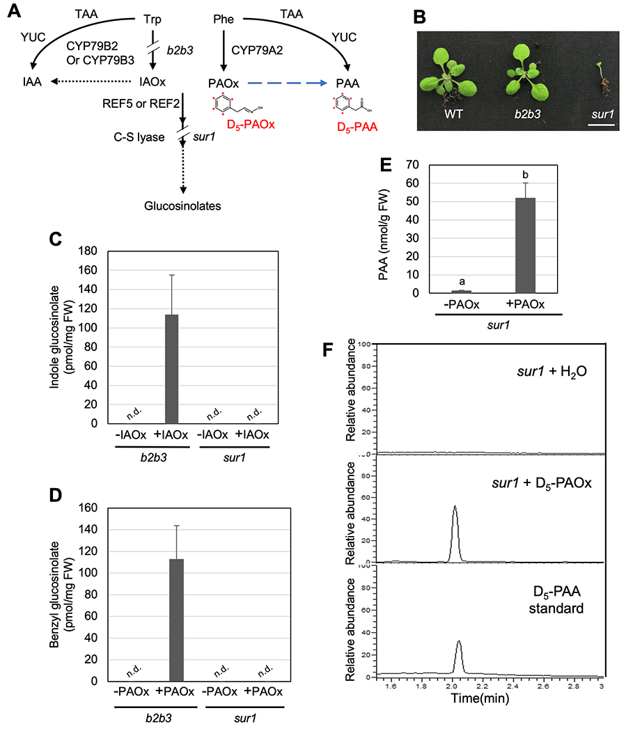 Figure 2.