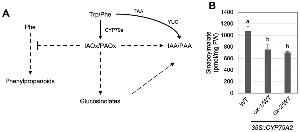 Figure 4.