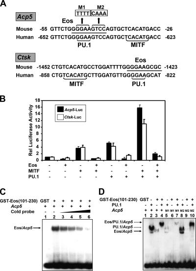 FIG. 2.