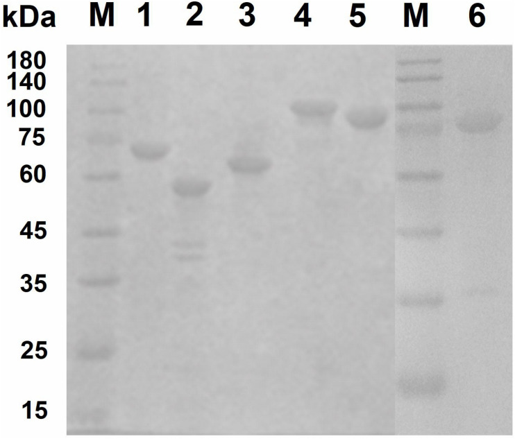 FIGURE 3