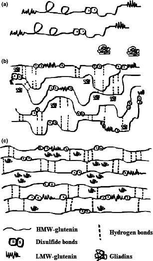 FIGURE 3