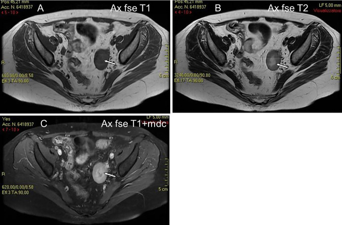 Fig. 6