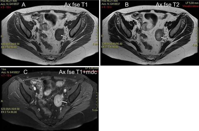 Fig. 7