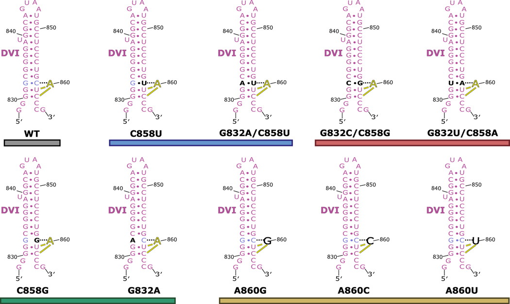 Extended Data Fig. 6