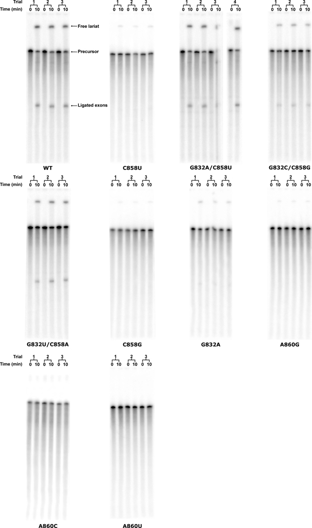 Extended Data Fig. 7