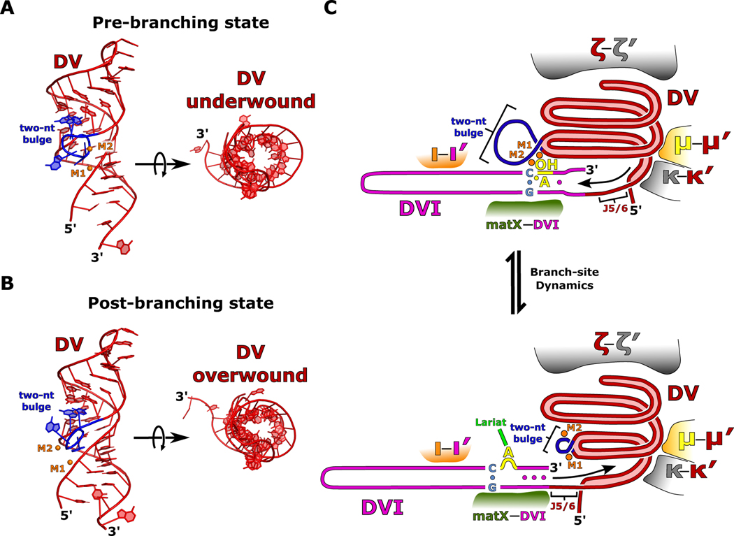 Fig 6.