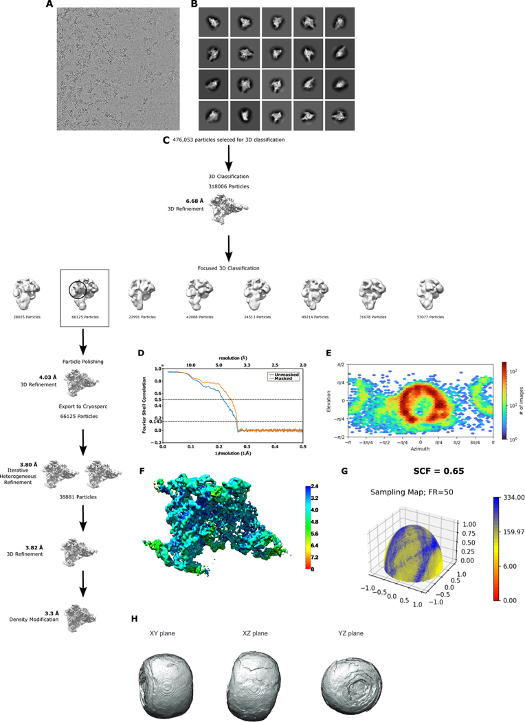 Extended Data Fig. 3