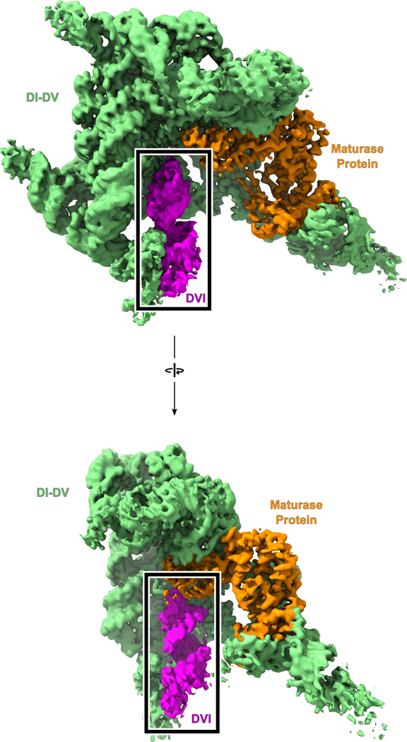 Extended Data Fig. 4