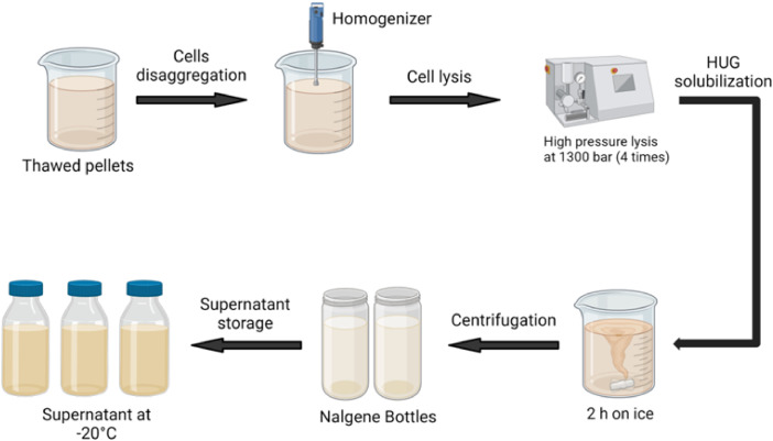 Scheme 2