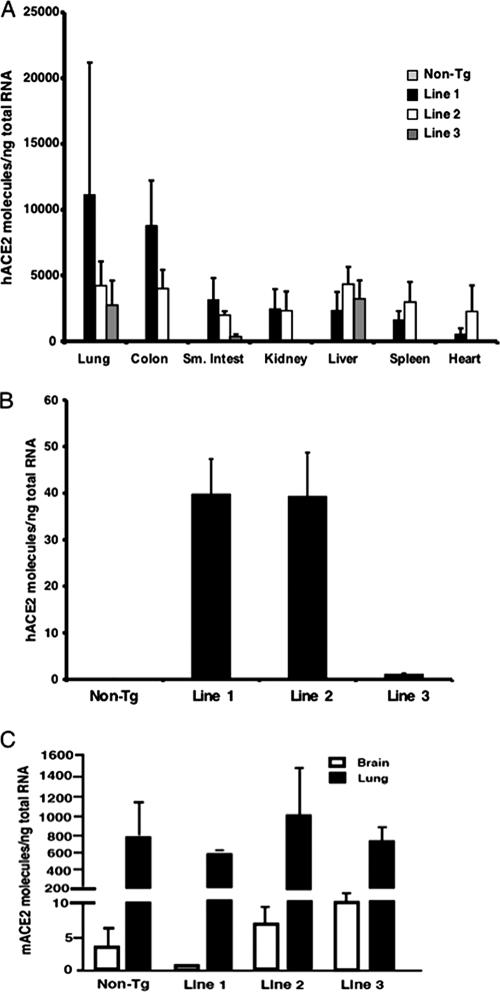 FIG. 2.