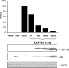 FIG. 7.