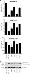 FIG. 4.