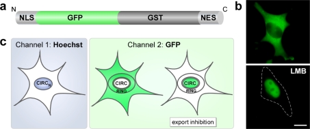 Figure 2.