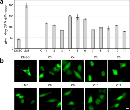 Figure 6.