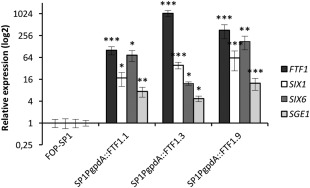 Figure 6