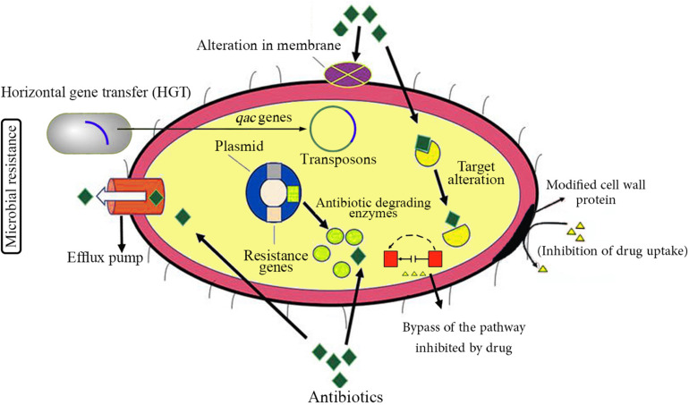 FIGURE 1