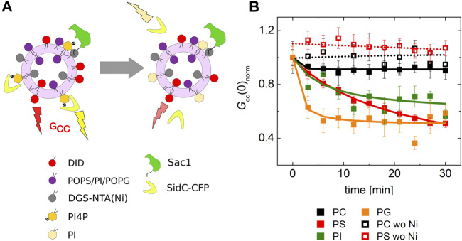 FIGURE 4