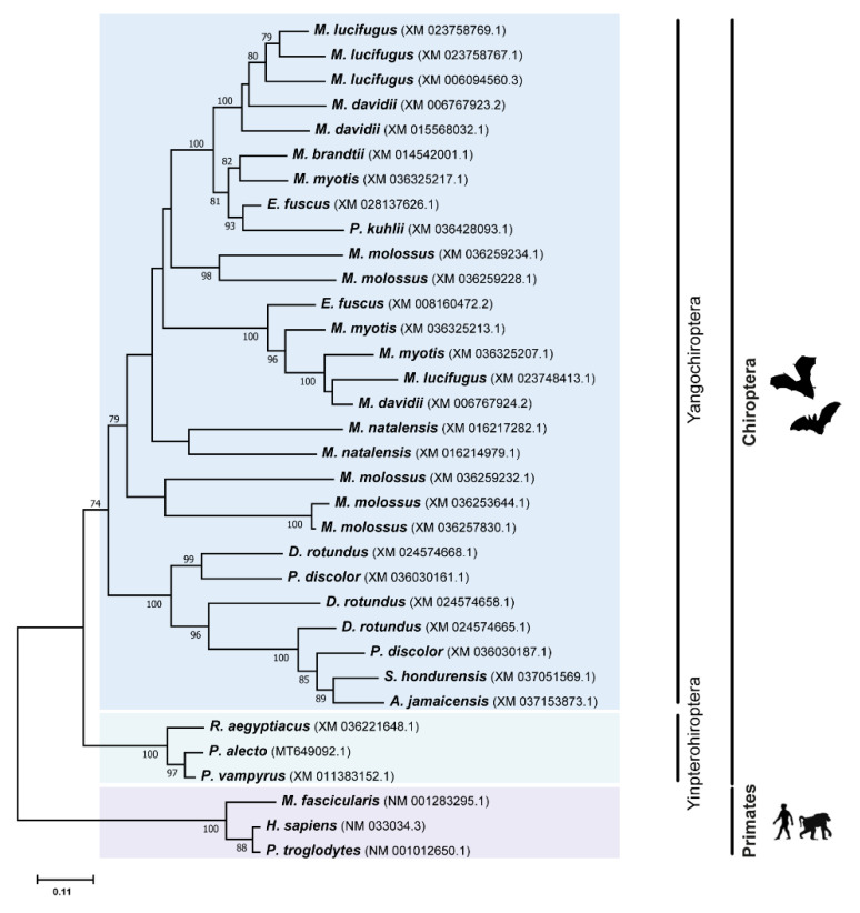 Figure 2