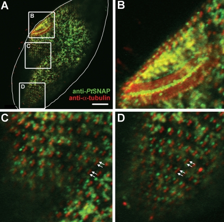 FIG. 7.