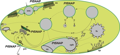 FIG. 9.