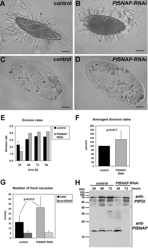 FIG. 8.