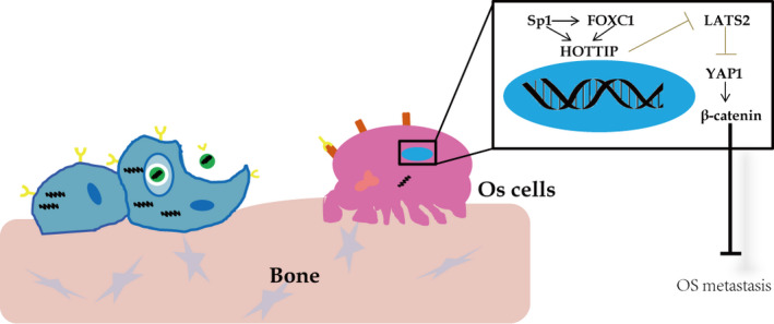 Fig. 9