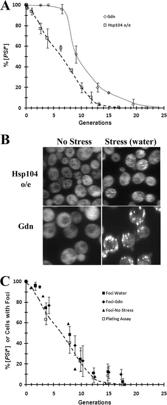 FIG 1