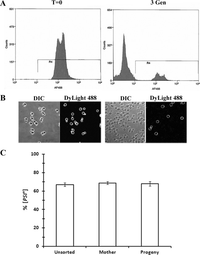 FIG 3