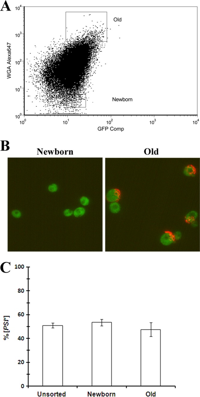 FIG 2