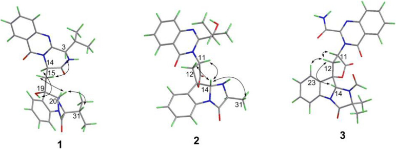 FIGURE 3